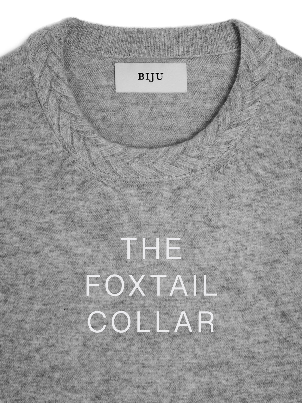 collar-choice-foxtail
